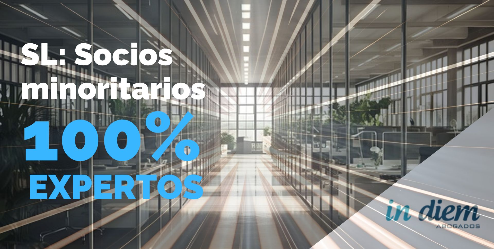 Socios minoritarios en sociedades limitadas Abogados IN DIEM